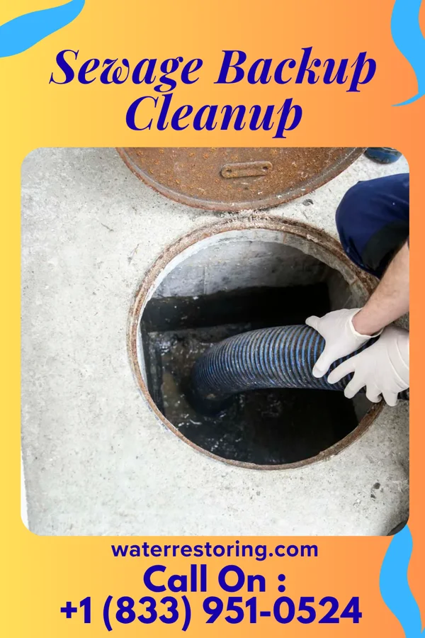 Sewage Backup Cleanup in Strafford, MO