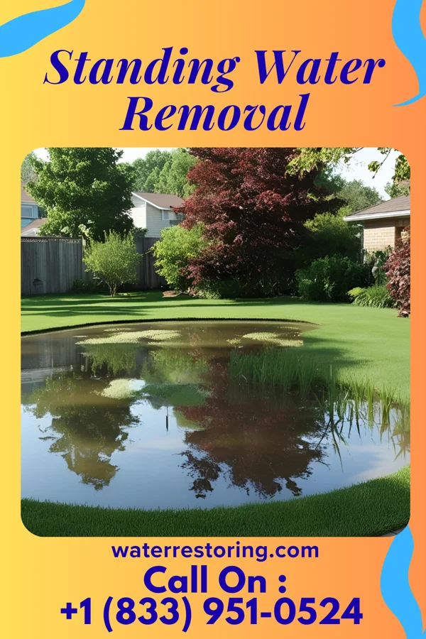 Standing Water Removal in Strafford, MO